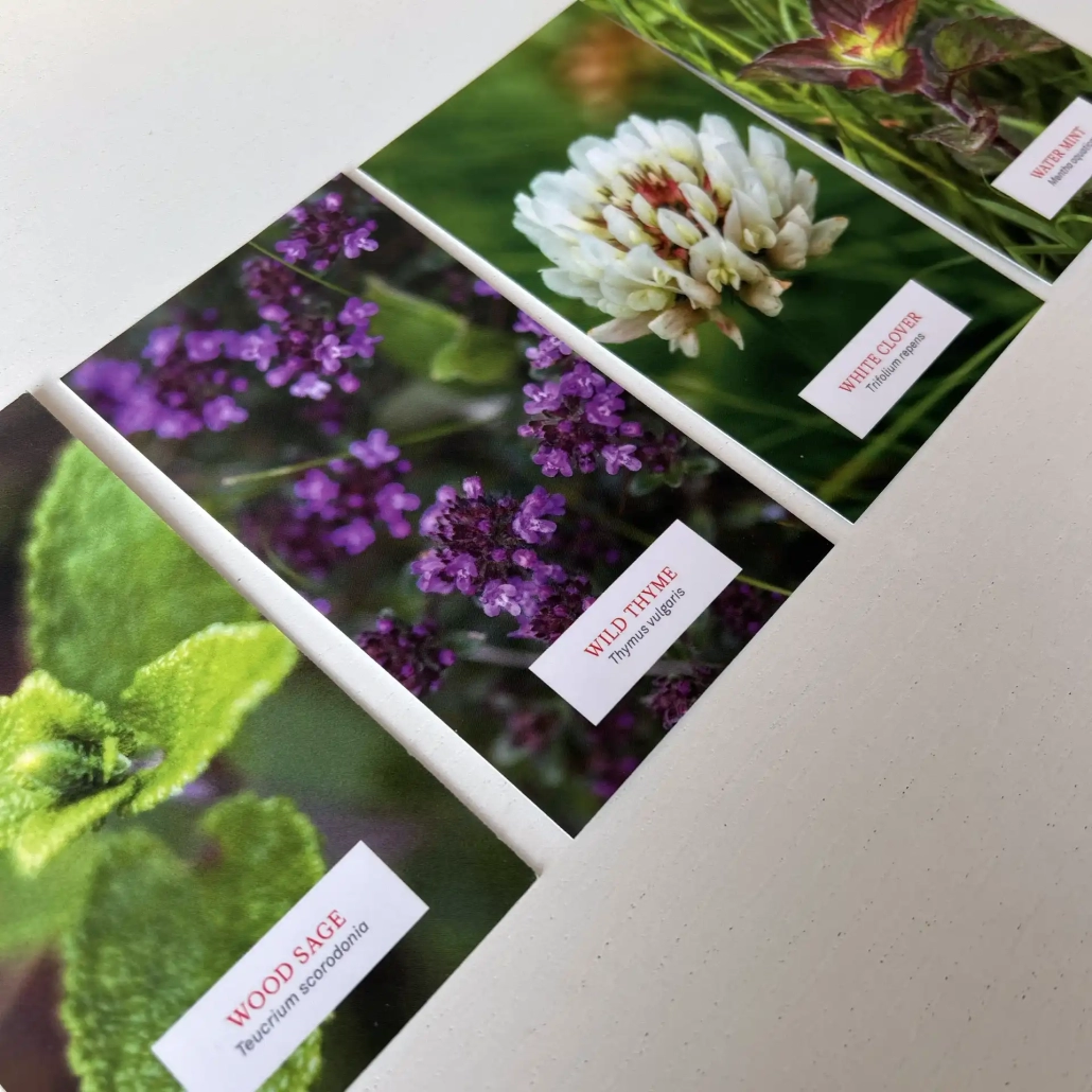 Botanical cards