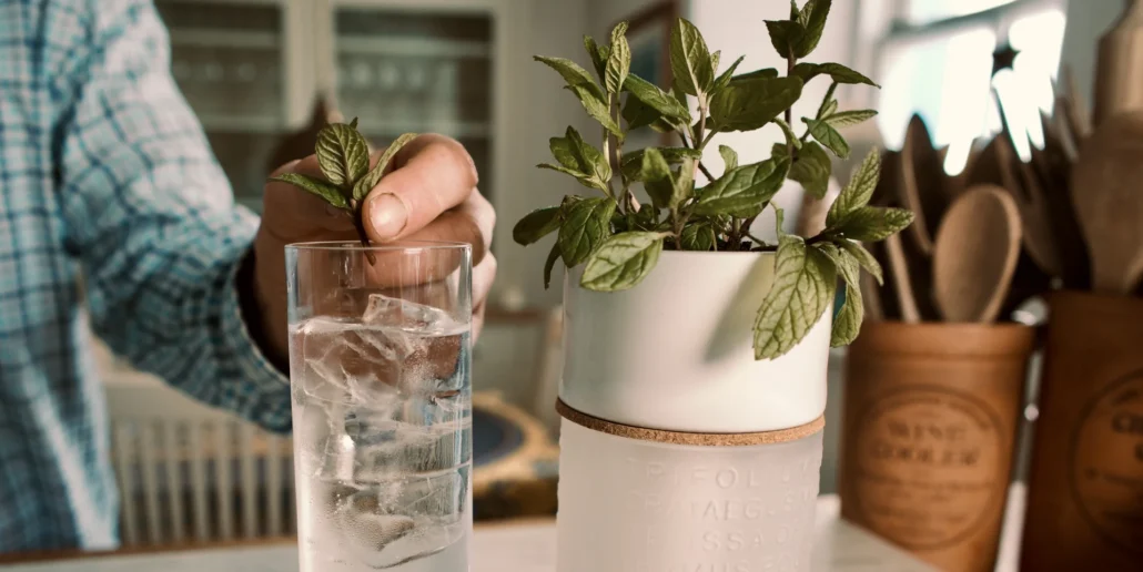 The Botanist Herb Planter