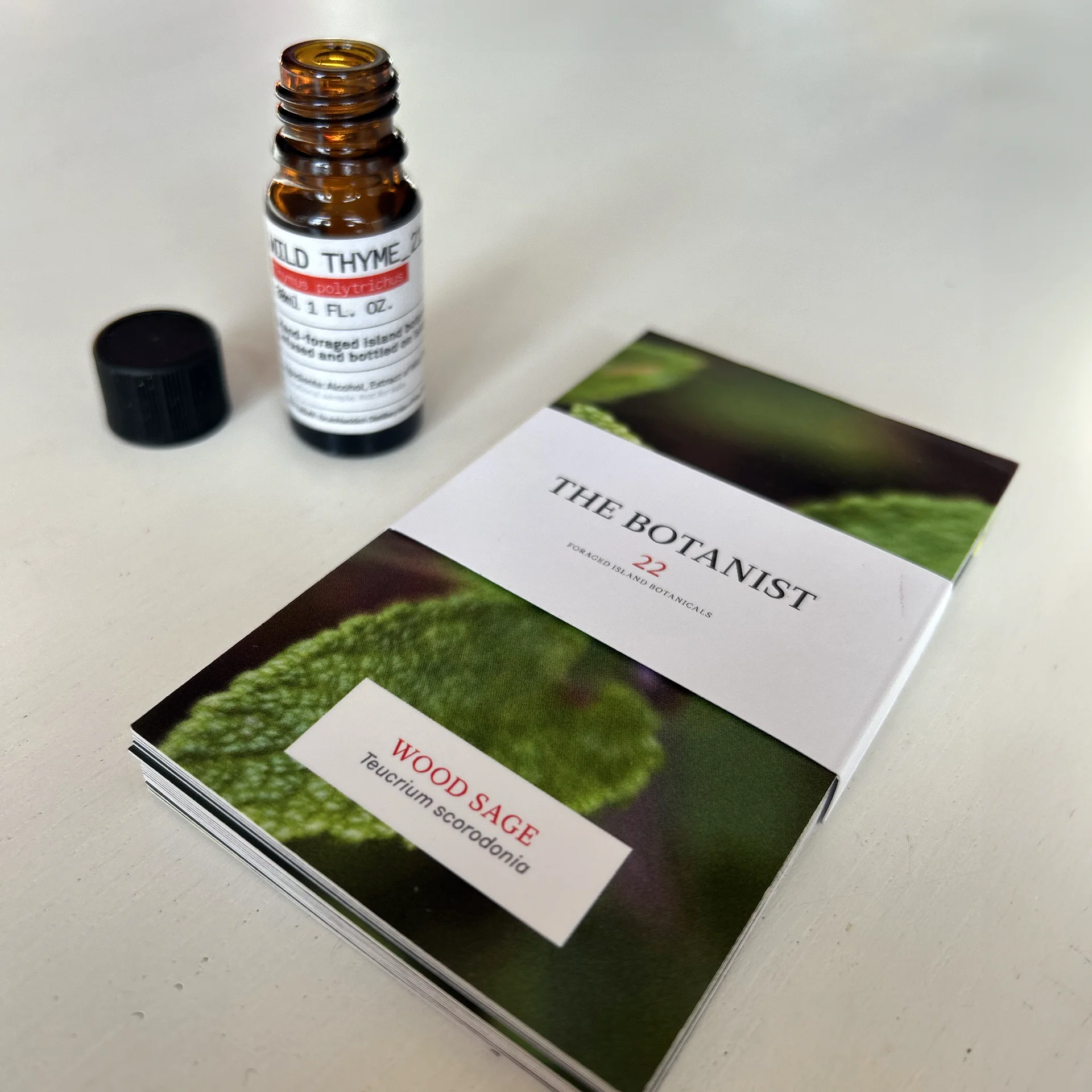 Detail of the tincture box contents
