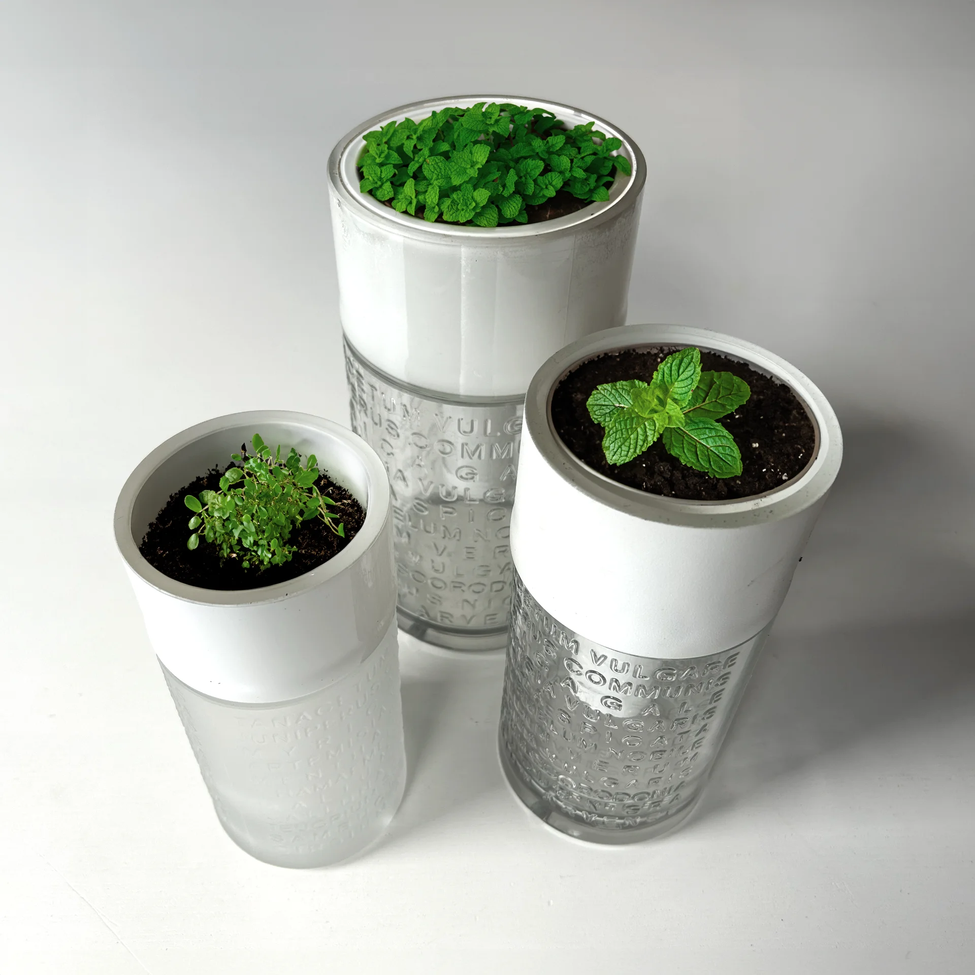 Herb planter prototype tested with live herbs planted in it