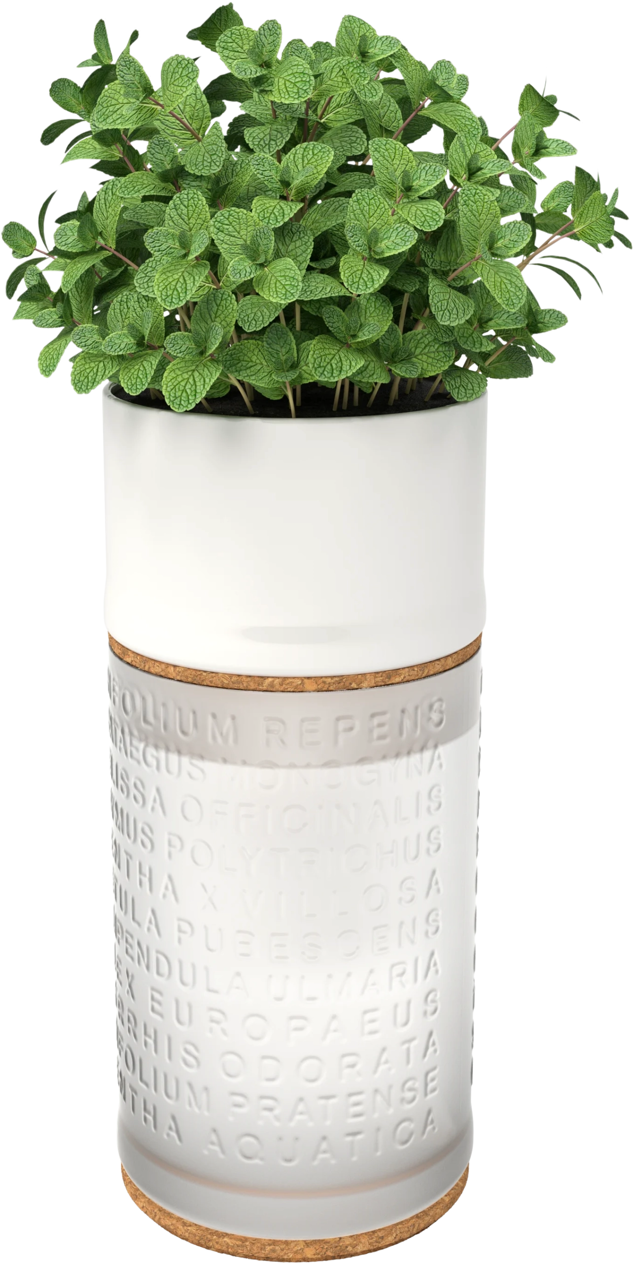 The Botanist herb planter, made from a cut and re-finished gin bottle